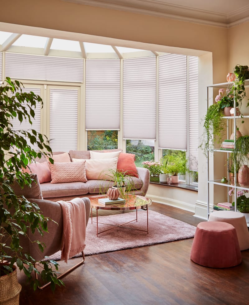 Hive & Pleated Blinds