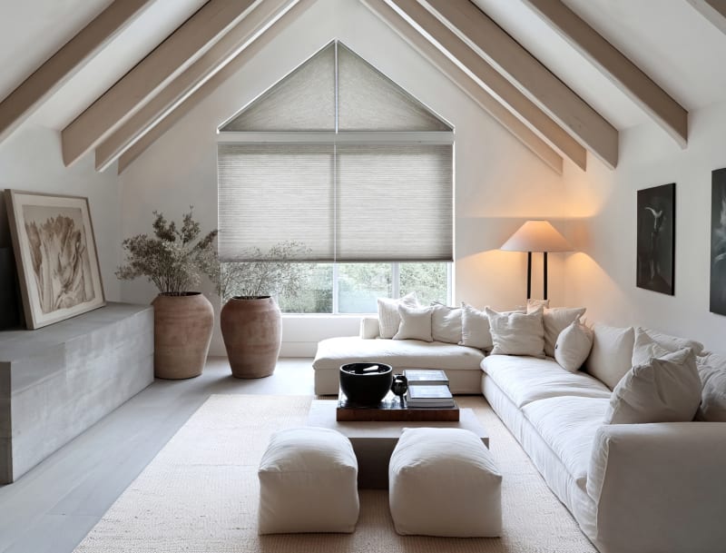 Duette® Blinds