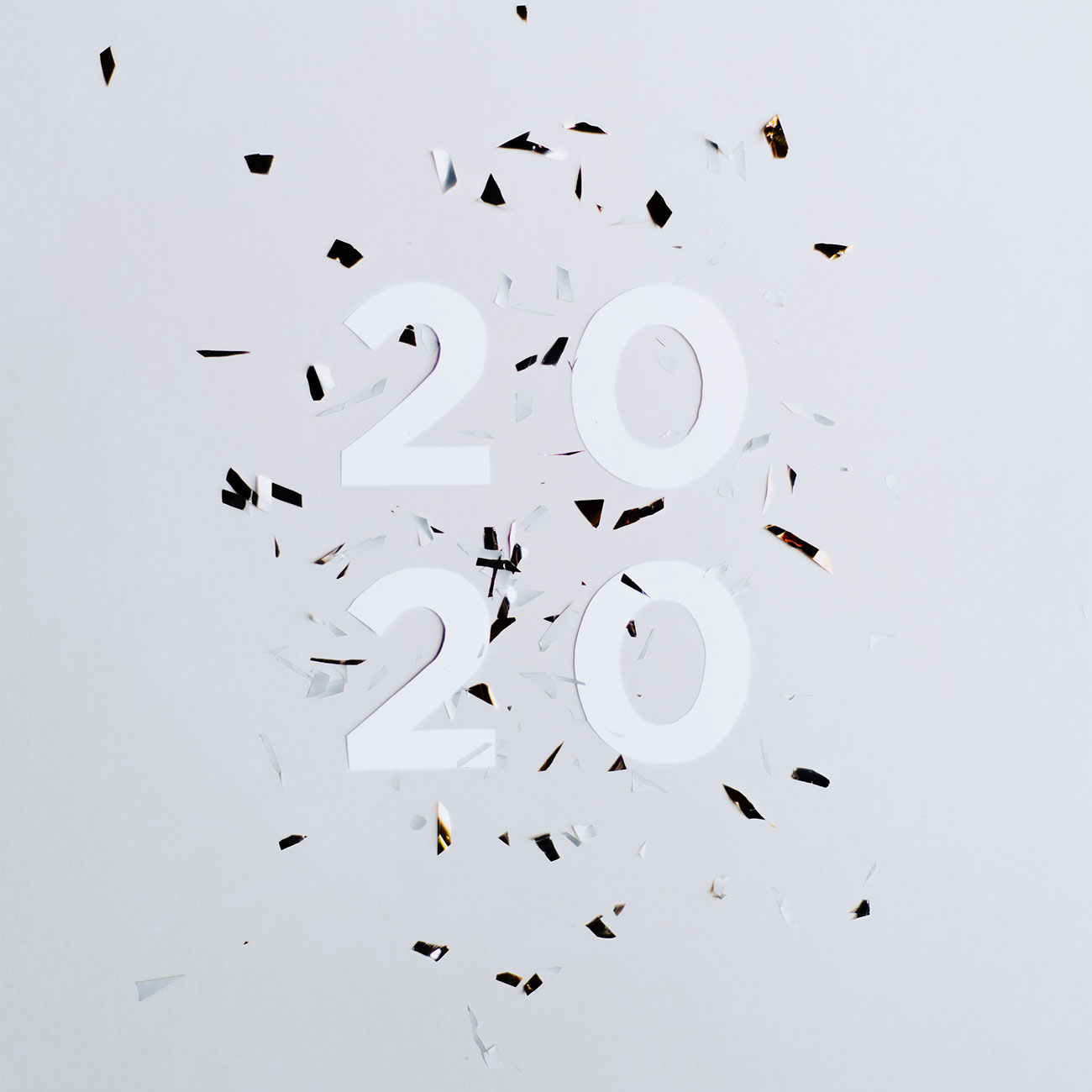 2020 YEAR IN REVIEW