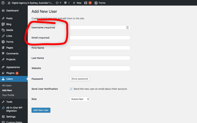 Screenshot of WordPress Dashboard adding a new user.