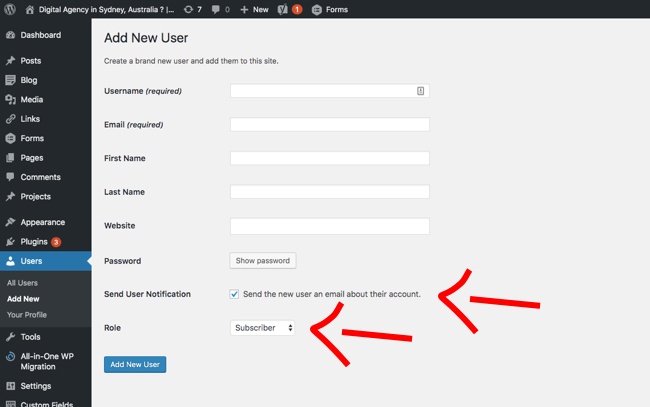 Screenshot of WordPress Dashboard adding a new user.