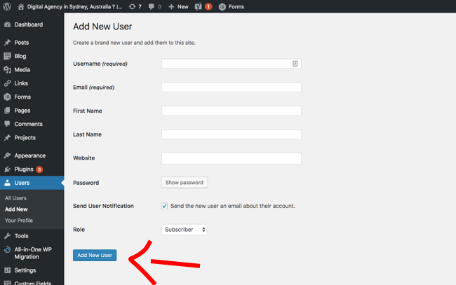 Screenshot of WordPress Dashboard adding a new user.