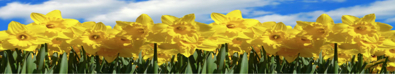 Image showing promotional deals at self storage facility Store America - North Syracuse, 5624 Bear Road, North Syracuse, NY, 13212