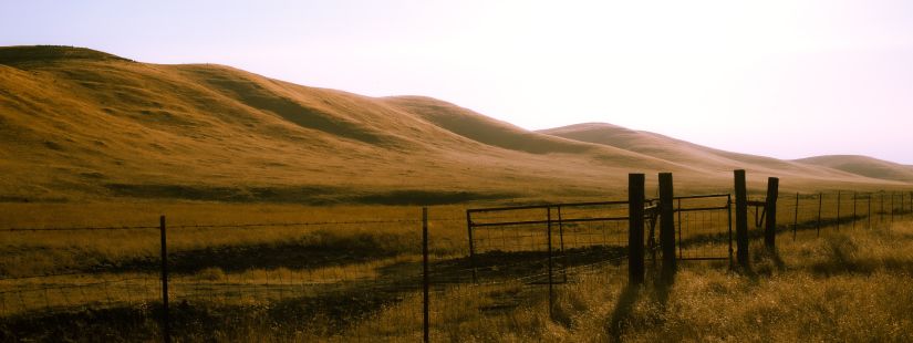 Rolling hills of Bakersfield, CA with a fence