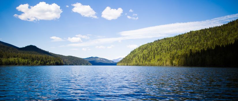 Top 5 Lakes to Go Boating near Sacramento