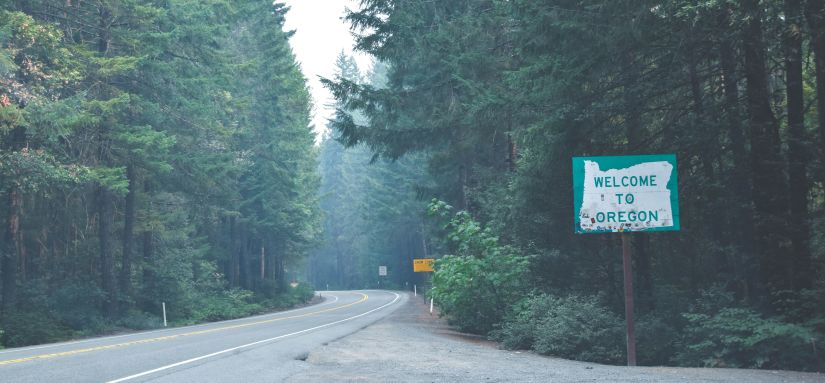 remote road with green trees