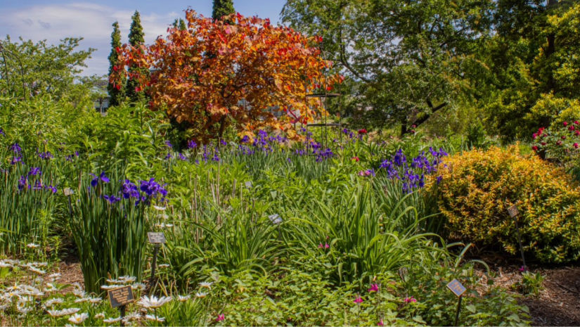 Botanical Gardens