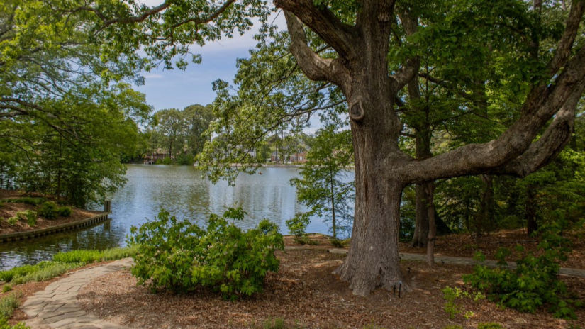 Botanical Gardens