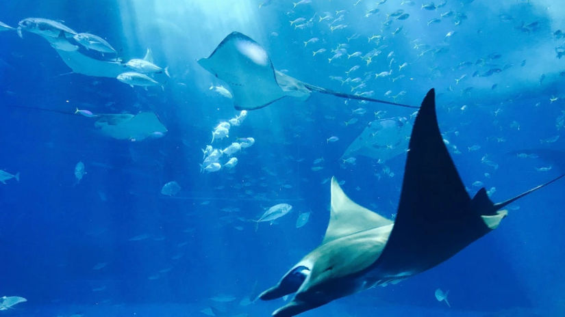 Family Friendly activities