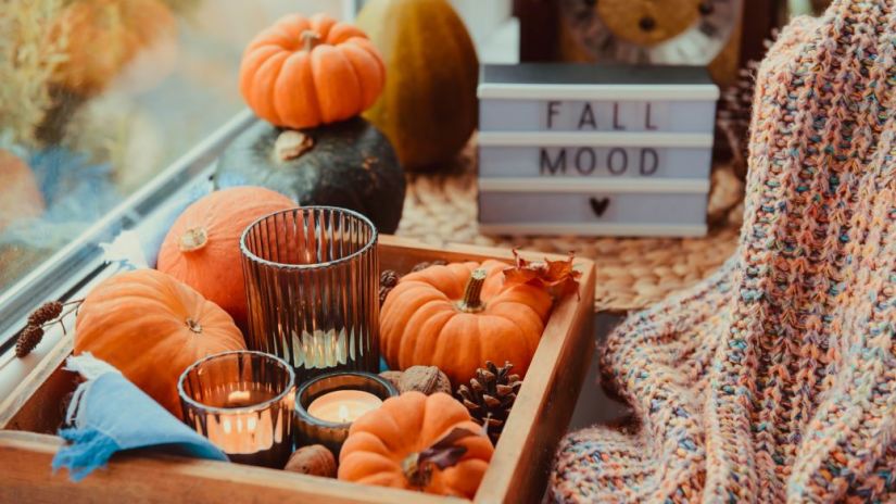 Cozy Fall Home Tips from StoragePRO