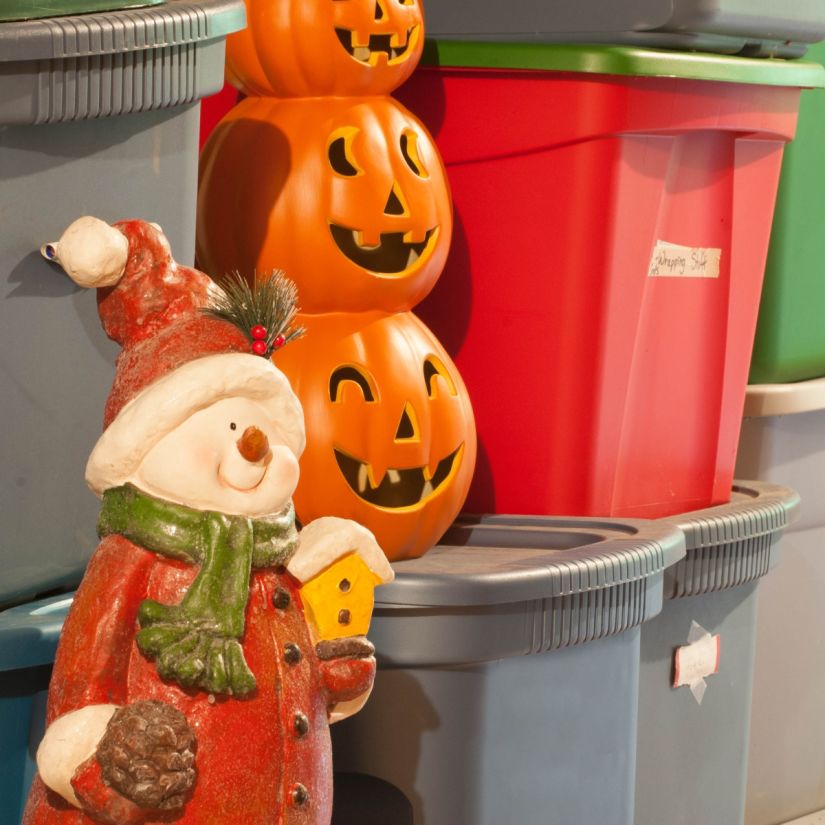 Bulverde Holiday Christmas Storage