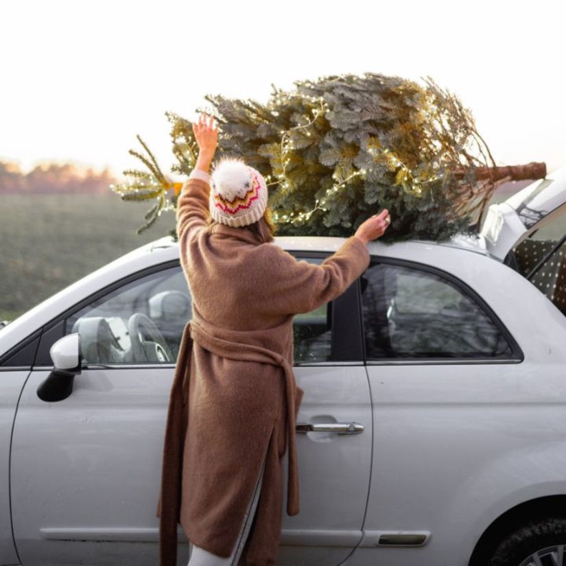 christmas packing and storage