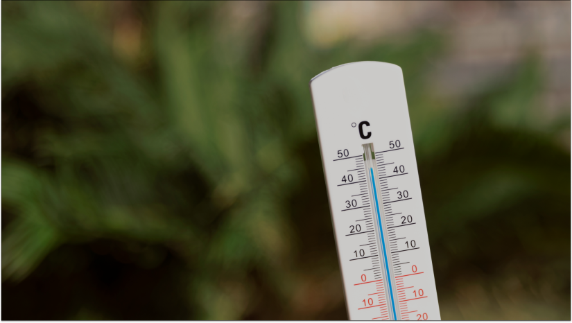 thermometer outside with plants behind