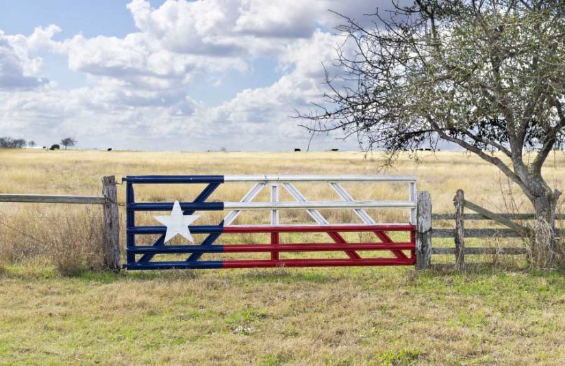 Gate Painted like the Texas Flag on a Plot of Land
