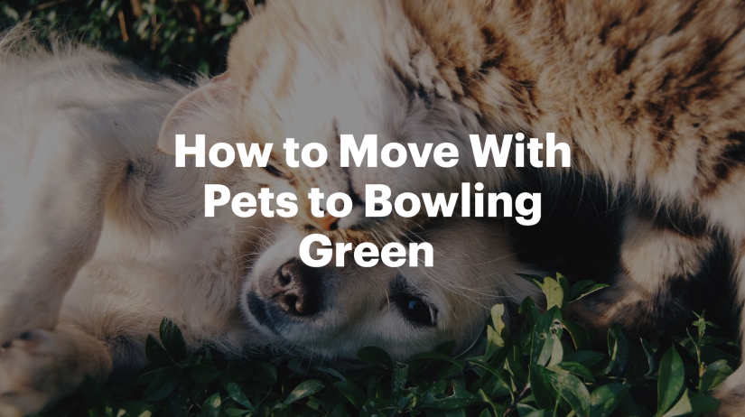 How to Move With Pets to Bowling Green