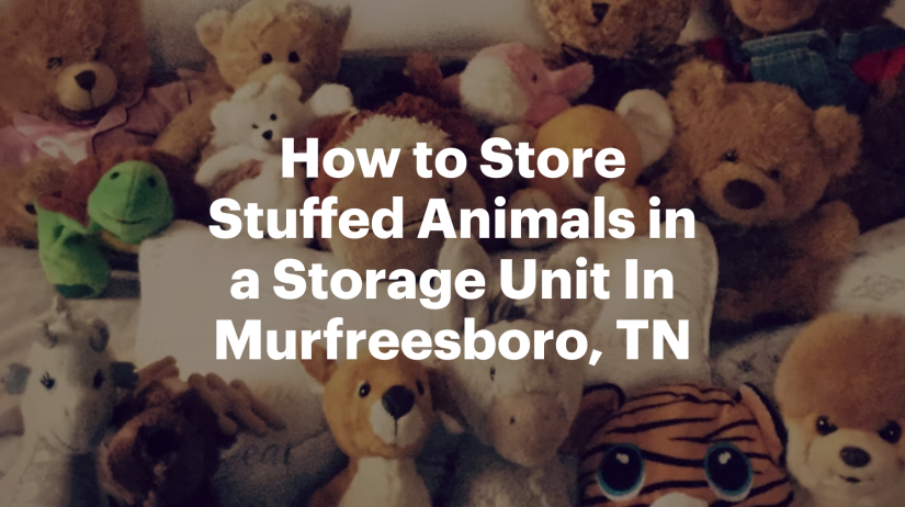 How to Store Stuffed Animals in a Storage Unit In Murfreesboro, TN