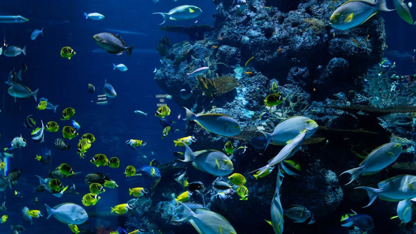 Family Friendly activities