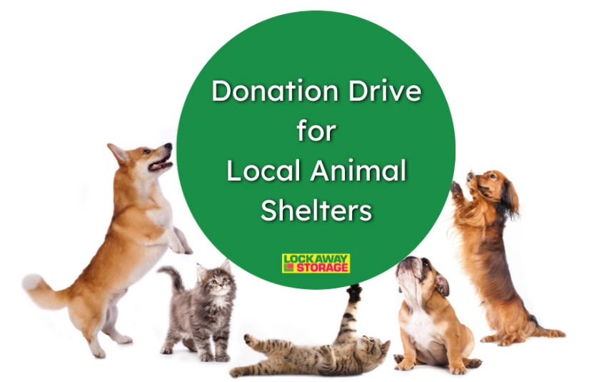 A banner advertising a donation drive for local animal shelters, surrounded by photographs of frolicking cats and dogs.