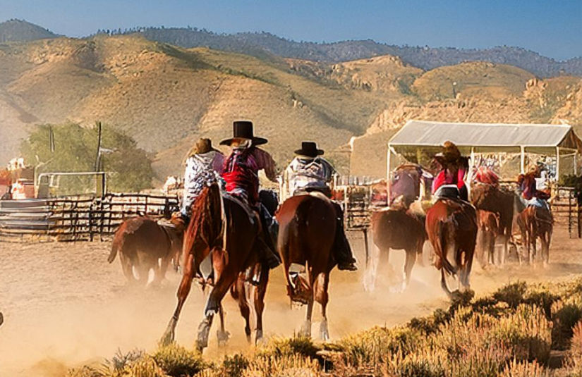 The image shows people on horses in a rodeo environment. The riders are dressed in the traditional button up shirts and hats of cowboys