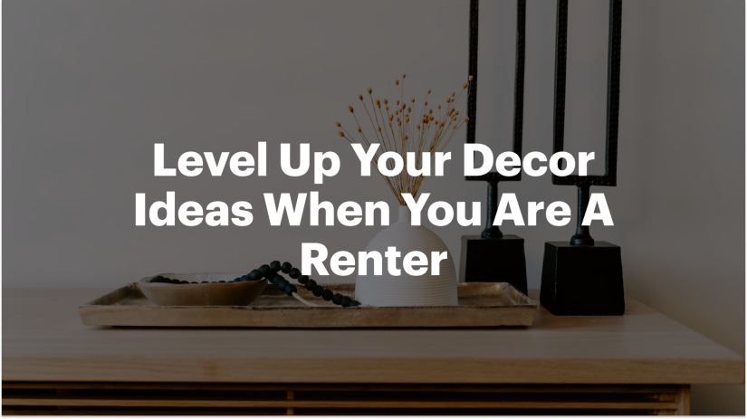 Level Up Your Decor Ideas for Renters