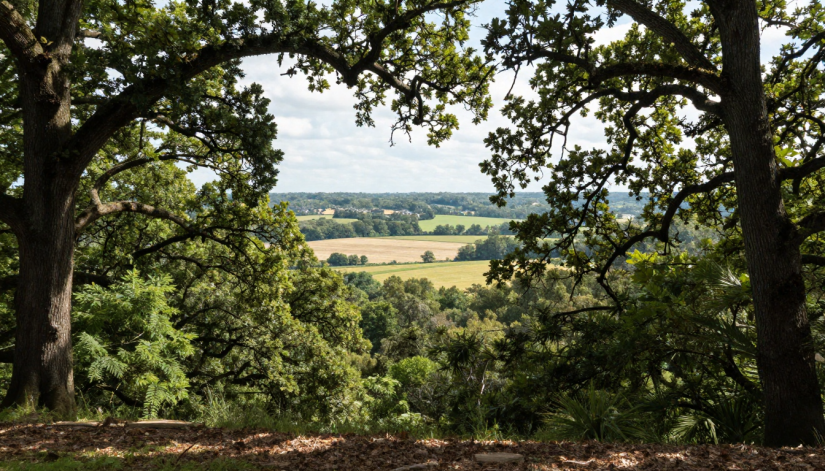 Top 5 Lexington Hikes