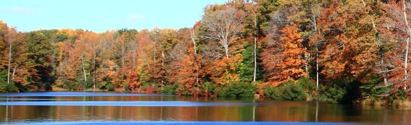 A tranquil lake at Caledon State Park in King George, Virginia, surrounded by vibrant autumn foliage reflecting on the water.