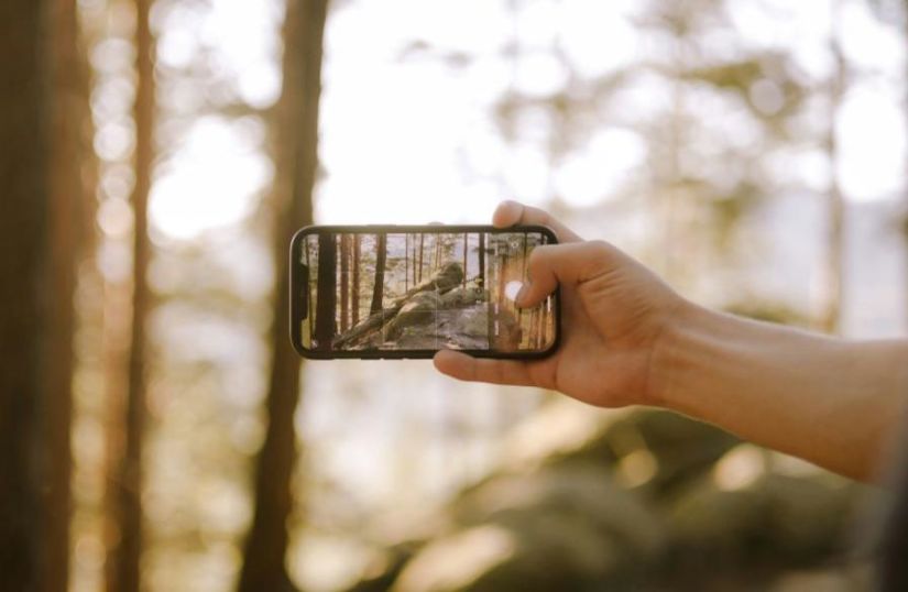 Using a smartphone to take a nature photograph.