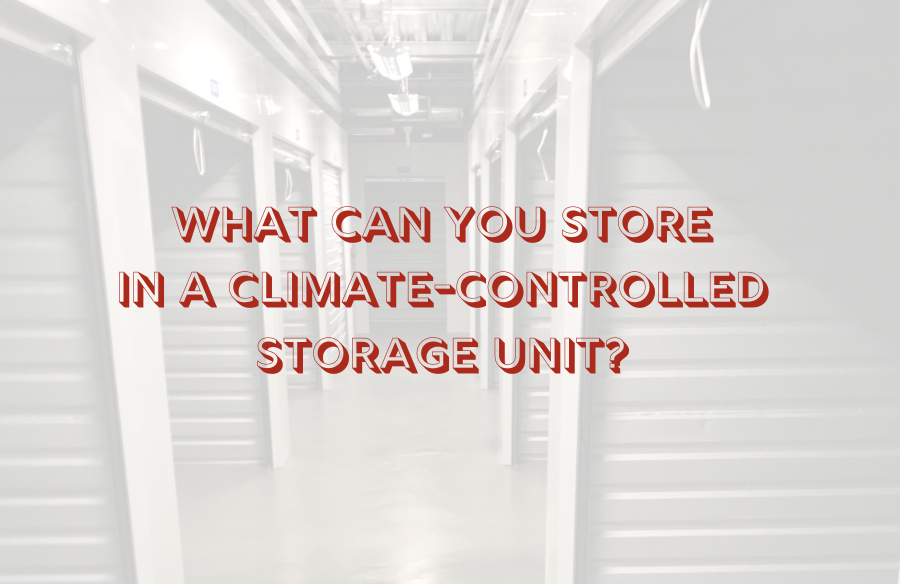 Climate Controlled Storage What Can You Store?