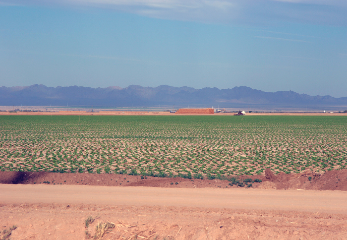 Imperial Valley 20221110 194703 