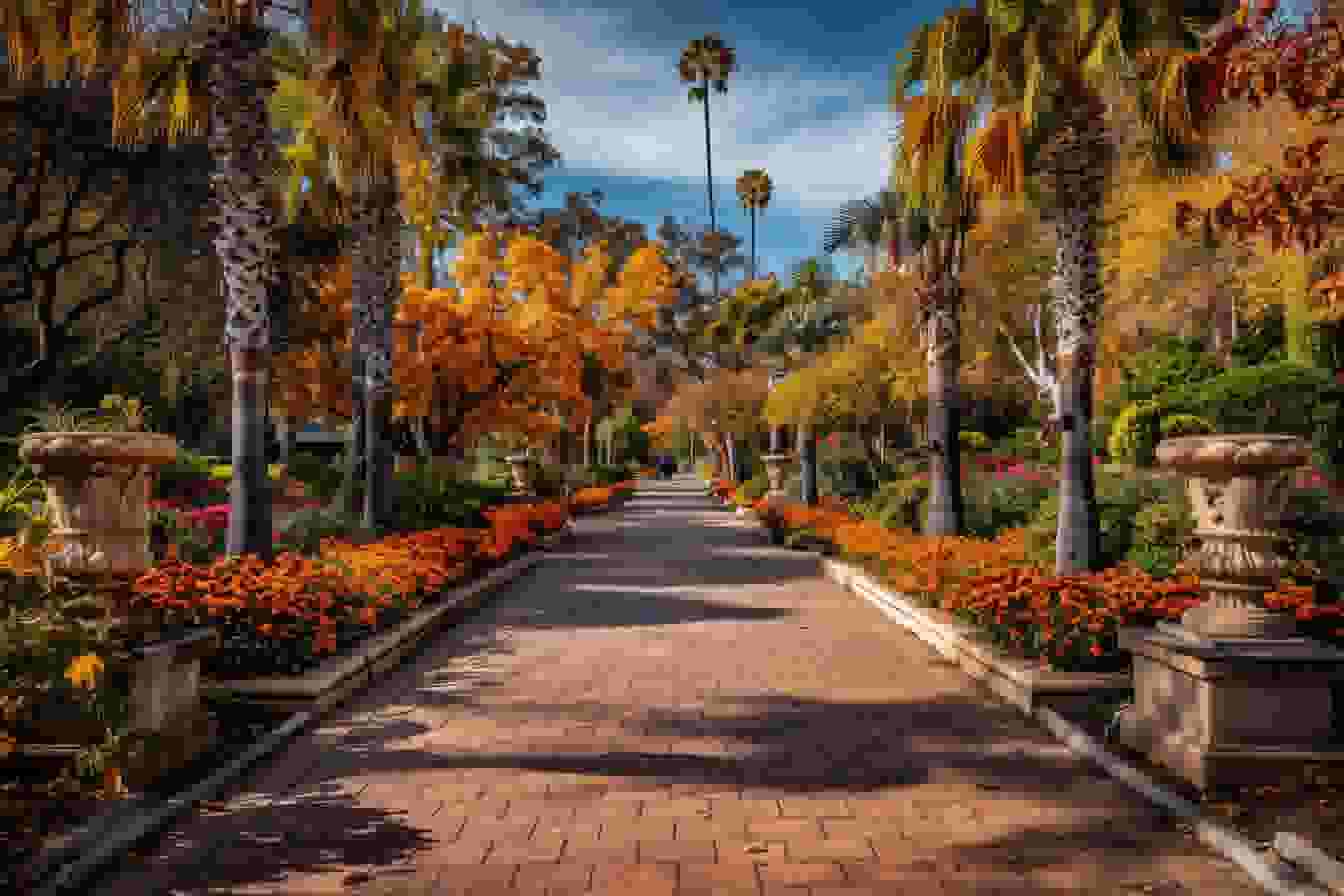 for decorative images