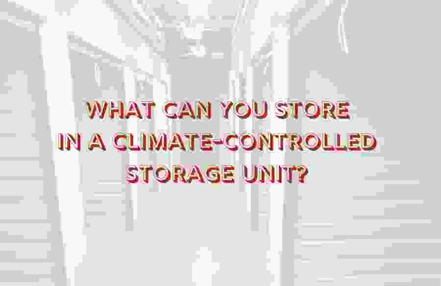 What Can You Store in a Climate-Controlled Storage Unit image of climate-controlled storage in Vegas