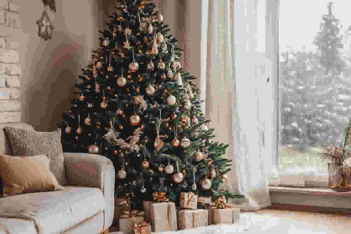 Storing Seasonal Items at A-1 Self Storage in San Diego