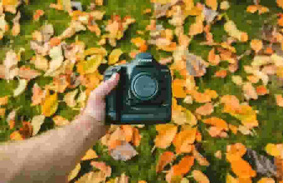 A Canon camera held in front of bright autumn leaves on a field of grass.