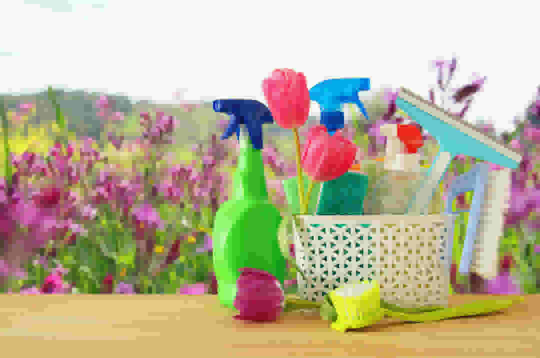 Spring Cleaning and Self-Storage - cleaning supplies and flowers in background