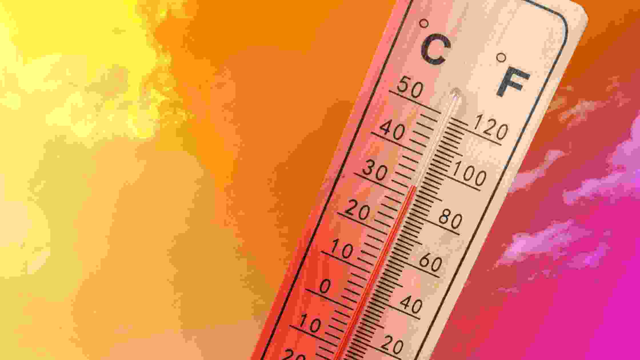 temperature controlled self storage units