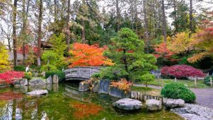 Fall leaves and pond at a Spokane WA Park