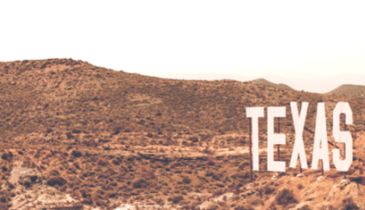 A Texas sign planted in a field of succulents.