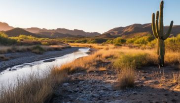 Secure Storage Units in Yucca Valley