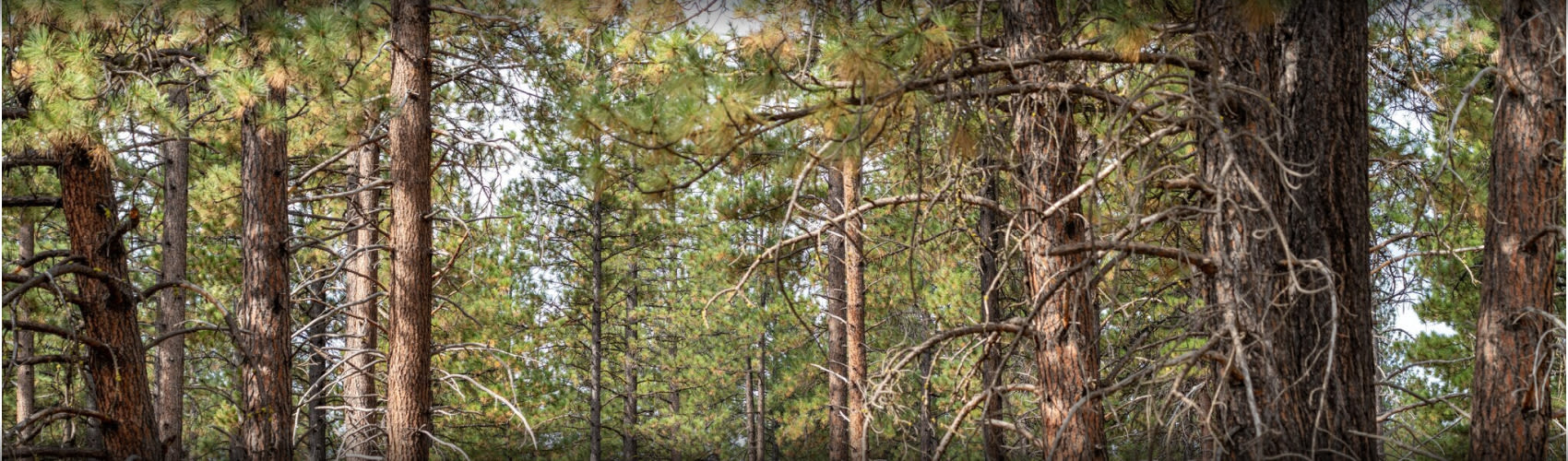 Exterior view of the Riverwoods Self Storage facility