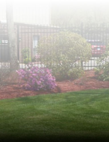 Exterior view of the Country Storage LLC facility