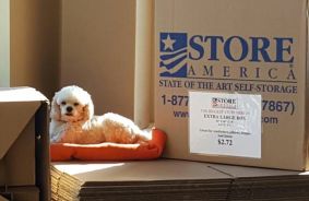 Other Storage Units Image at self storage property Store America - North Syracuse, 5624 Bear Road, North Syracuse, NY, 13212