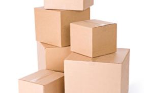 Other Storage Units Image at self storage property Units Mobile Storage of Charleston, 680 Bear Swamp Rd, Johns Island, SC, 29455