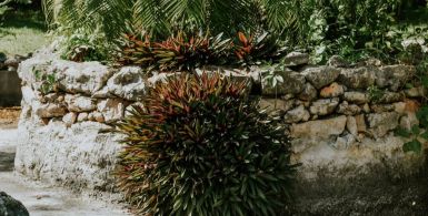 Botanical Gardens