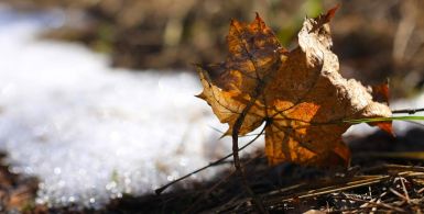 Seasonal Storage Tips