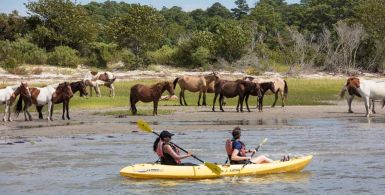 Hidden Gems in Virginia