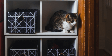 storage container image