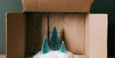 storage container image