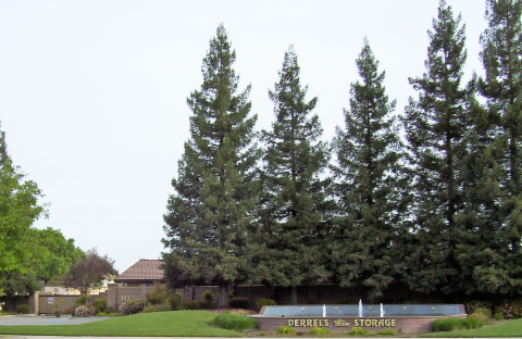 Derrel's Mini Storage, storage units and spaces at 382 E Alluvial Ave, Fresno, CA, 93720