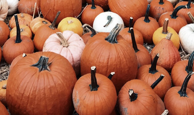 What Halloween Can Teach You About Seasonal App Store Optimization (ASO)