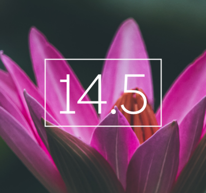 ios14.5blog_coverbravenewworld